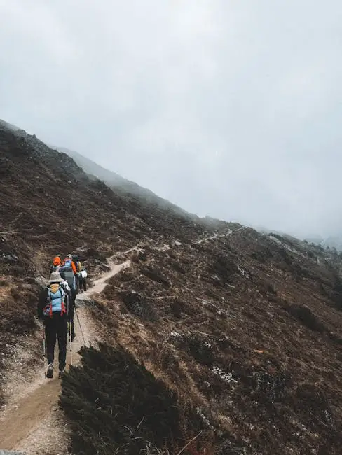Group of hikers walking on a misty mountain path in Nepal's Himalayas, surrounded by nature.