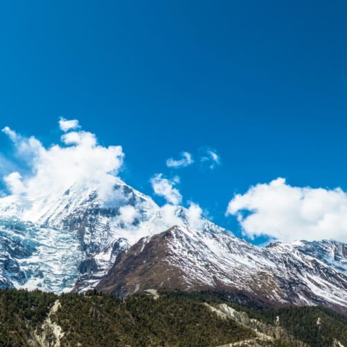 Druk Path Trek